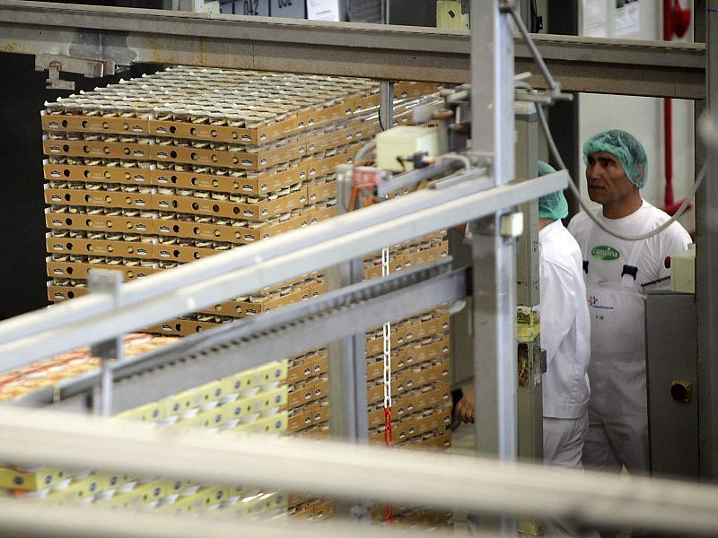 Molkerei Friesland-Campina streicht 57 Stellen in Gütersloh ...