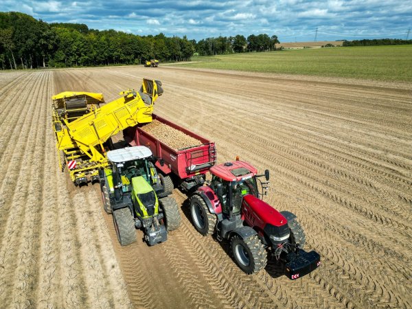 Die Kartoffelbauern haben in diesem Jahr eine sehr gute Ernte eingefahren - es sind sogar zu viele Kartoffeln, die Preise sind relativ schlecht. (Archivfoto) - © Jan Woitas/dpa