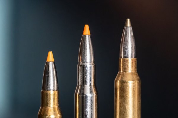 Jagdpatronen im Kaliber 308 Winchester (l-r), 30-06 Springfield und 300 Winchester Magnum stehen bei einem Jäger auf einem Waffenschrank. (Symbolbild) - © Silas Stein/dpa