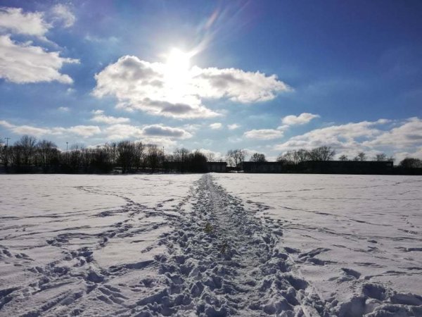 Ein Schneepanorama in Leopoldsöhe-Hovedissen. - © Kirsten Fuhrmann