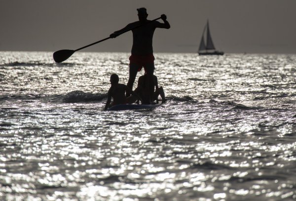 Stand-up-Paddling an der Ostsee - © Foto: Jens Büttner/dpa-Zentralbild/dpa-tmn