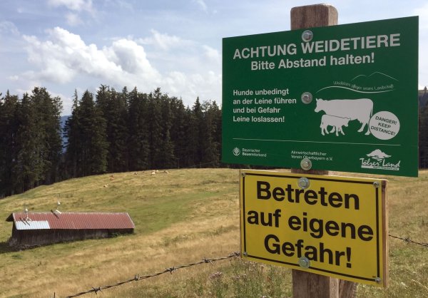Ein Schild warnt vor dem Betreten einer Kuhweide (Symbolbild). - © Sabine Dobel/dpa