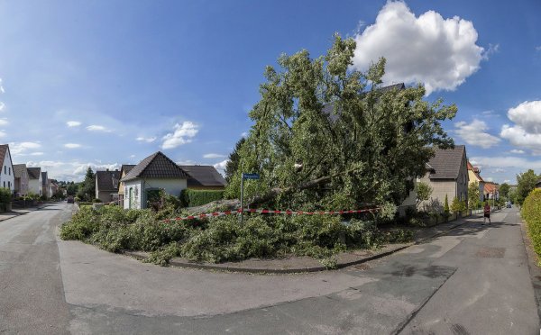 Doppelter Sturmschaden: Die Dorflinde in Remmighausen, die 1953 gepflanzt worden war, hat die Sturmböen von „Zeljko“ nicht überstanden. Die mehr als 60 Jahre alte Linde ist einfach umgekippt und hat ein Auto unter sich begraben. - © Torben Gocke