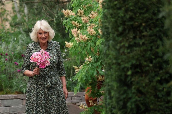 Königin Camilla hält die «King\\\'s Rose». - © Toby Melville/PA Wire/dpa