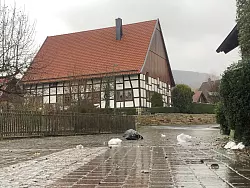 In Brakelsiek wurde der M&uuml;ll noch nicht abgeholt. Der Wind hat ihn quer &uuml;ber die vereiste Einfahrt verteilt. - &copy; Silke Buhrmester