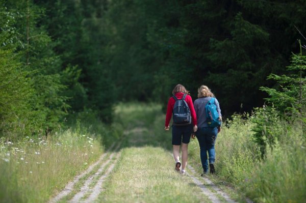 Wanderinnen am Grünen Band im Harz: Künftig kann auch auf der neuen länderübergreifenden Wanderroute «Grenzerfahrung Grünes Band» das ehemalige Grenzgebiet erkundet werden. - © Klaus-Dietmar Gabbert/dpa-Zentralbild/dpa