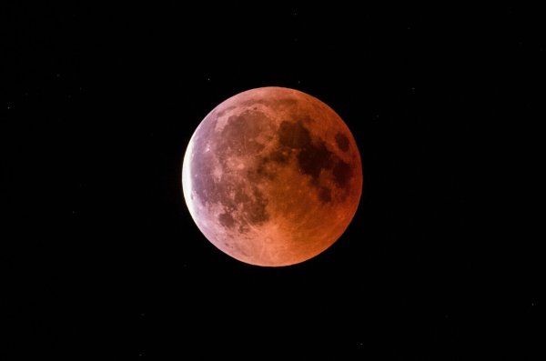 Während der Finsternis zeigt sich der Mond in rötlich-braunen Farben. (Symbolbild) - © Silas Stein/dpa