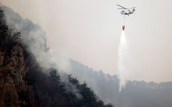 Es handelt sich um die größten Waldbrände in der Geschichte des Landes. - © Lee Moo-yeol/Newsis via AP)/dpa