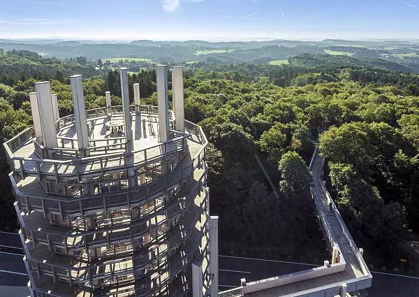 Hoch hinaus in die Baumkronen – der Baumwipfelpfad Panarbora bietet spektakuläre Ausblicke und Naturerlebnis pur. - © Deutsches Jugendherbergswerk - L