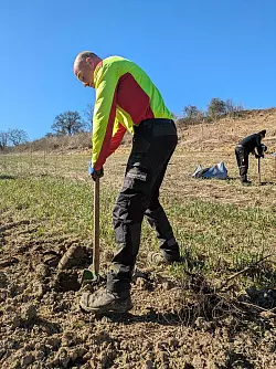 Markus Müller von der Firma Forest Friend pflanzt die ersten Bäume. - © Landesverband Lippe