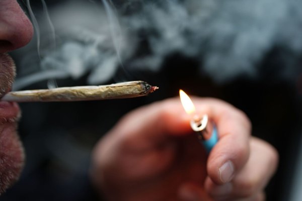 Cannabis zum Eigenkonsum ist seit einem Jahr für Erwachsene erlaubt. (Archivbild) - © Marcus Brandt/dpa