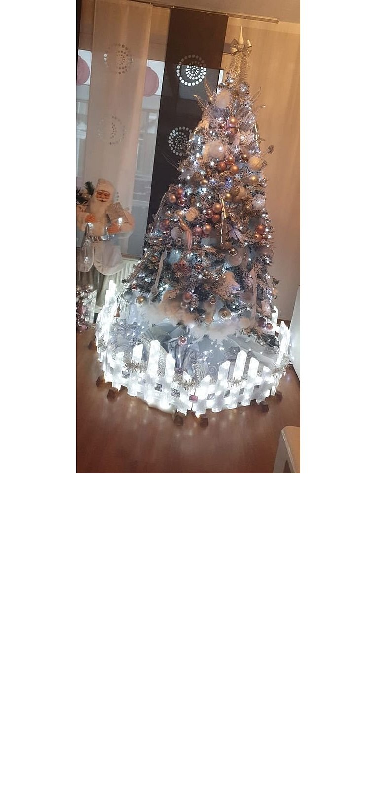 Weihnachtsbäume in Lippe
