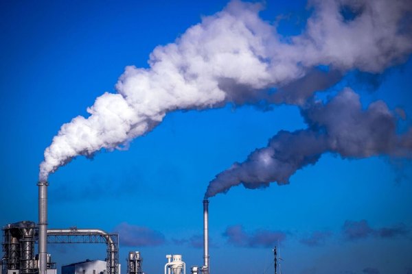 Die Industrie veröffentlicht alarmierende Prognosen - © Jens Büttner/dpa-Zentralbild/dpa
