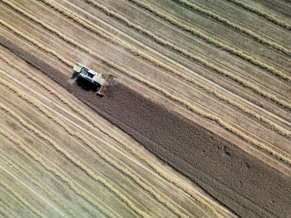 Land- und Forstwirtschaft könnten ihren Beitrag zur Klimaneutralität laut einer Studie in den nächsten Jahrzehnten deutlich steigern. (Archivbild) - © Andreas Arnold/dpa