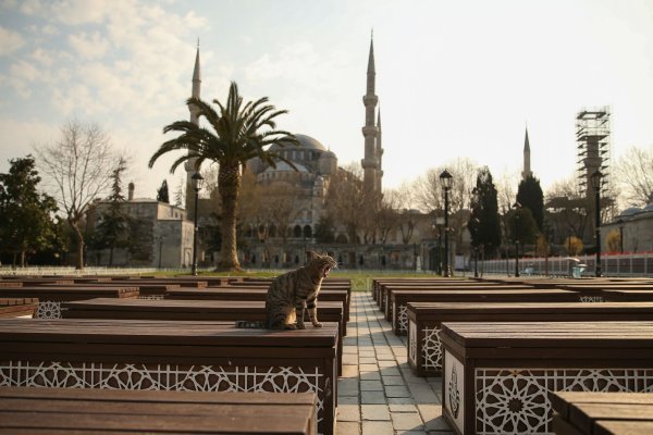 Das Kopftuch ist in der Türkei weiter umstritten, auch abseits von Gebetsstätten wie etwa die Blaue Moschee in Istanbul (Archivbild) - © Emrah Gurel/AP/dpa