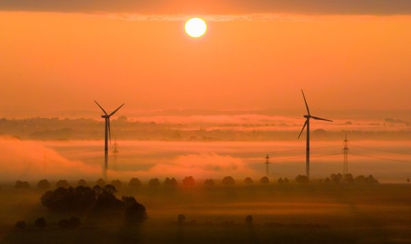 Die OECD fordert mehr Tempo beim Klimaschutz. (Archivbild) - © Julian Stratenschulte/dpa