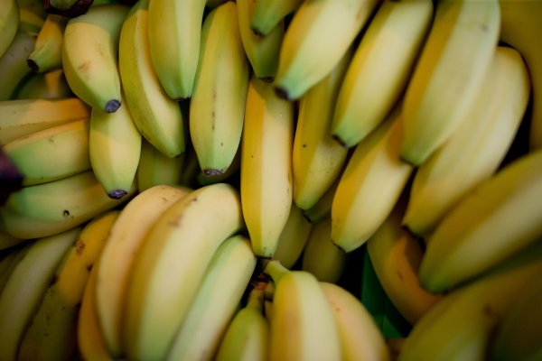 Nach einer Beschwerde beim Discounter Aldi haben Bananenarbeiter in Costa Rica Entschädigungszahlungen erhalten. (Symbolbild) - © Daniel Karmann/dpa