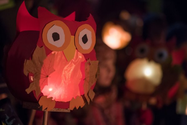 Selbstgebastelte Laterne beim St.-Martins-Zug in Kempen. (Archivbild) - © picture alliance / Bernd Thissen/dpa