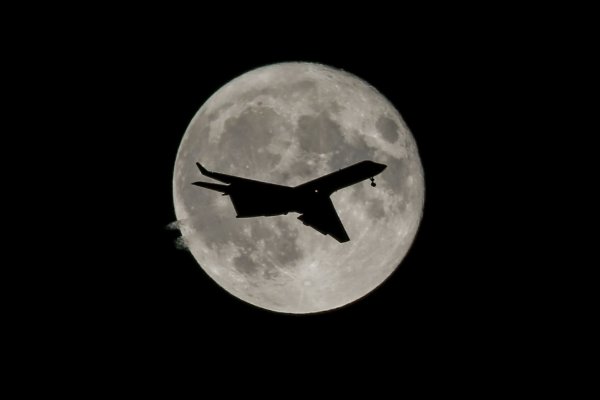 Es könnten bald Tausende Flüge gestrichen werden. - © Ringo Chiu/ZUMA Wire/dpa