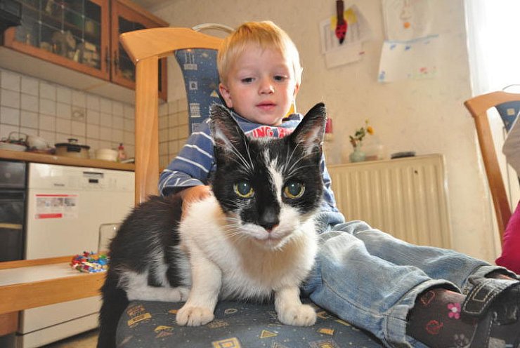 Der zwei Jahre alte Dean ist froh, dass er wieder mit Kater Charlie schmusen kann. Das Tier war für einen Tag spurlos verschwunden und tauchte dann operiert wieder auf. - © FOTO: JULIA GESEMANN