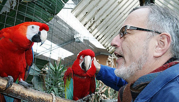 Dörentruper bietet
Papageien ein Heim - © Dörentrup