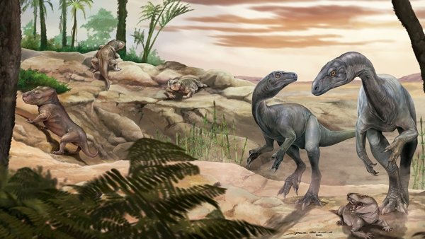 Künstlerische Darstellung des Dinosauriers Huayracursor jaguensis - © Jorge Blanco/CONICET Argentina/dpa