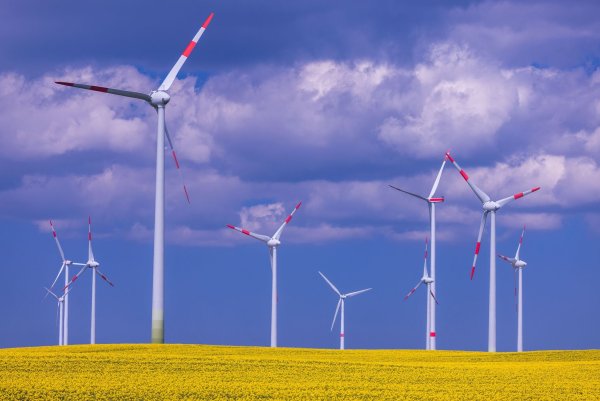 In den ersten neun Monaten wurden 19,6 Terawattstunden Strom mehr aus dem Ausland bezogen als umgekehrt aus Deutschland ins Ausland flossen. - © Jens Büttner/dpa