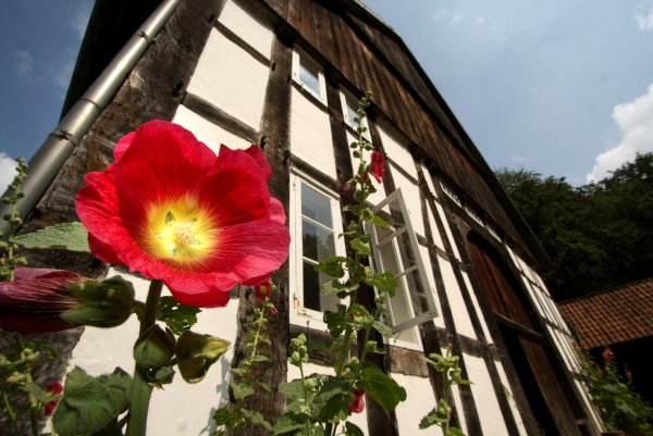 Um die Besonderheiten beim Fachwerkbau geht es in einer Führung durch das LWL-Freilichtmuseum Detmold am eintrittsfreien Freitag. - © LWL/Jähne