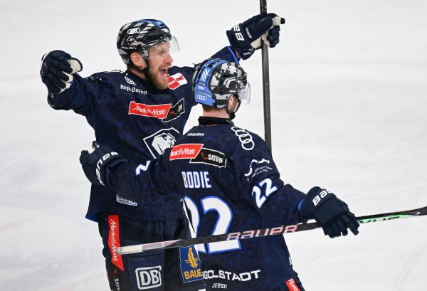 Der ERC Ingolstadt überzeugt im ersten Playoff-Halbfinale gegen die Kölner Haie. - © Sven Hoppe/dpa