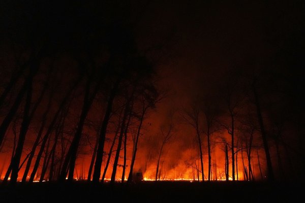 Seit dem Ausbruch des Waldbrandes in New Jersey am Dienstagmorgen breiten sich die Flammen schnell aus. - © Chris Szagola/AP/dpa