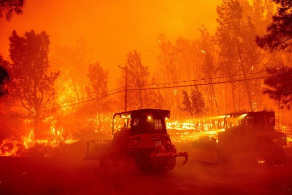 Über 1.100 Helfer kämpften gegen die Flammen an. - © Noah Berger/AP/dpa