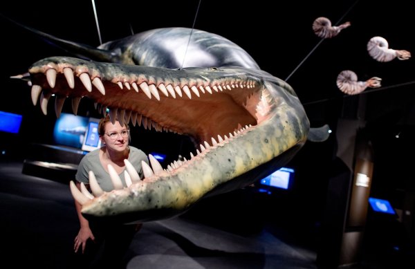 - © Hauke-Christian Dittrich/dpa/dpa-tmn