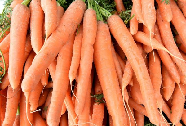 Möhren - © Foto: Holger Hollemann/dpa