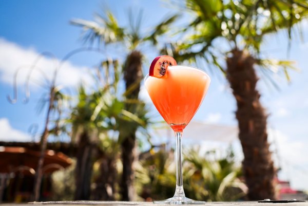 Ein Passionsfrucht Martini (auch Pornstar Martini oder Maverick Martini genannt) steht unter Palmen auf einem Tisch in einer Strandbar. - © Christian Charisius/dpa
