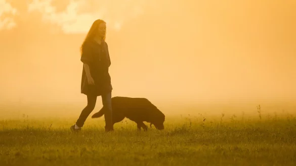 Kastration - &copy; Foto: Thomas Warnack