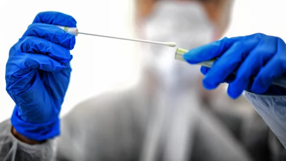 - &copy; Britta Pedersen/dpa-Zentralbild/dpa