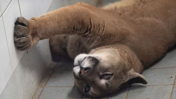 - &copy; Sven Hoppe/dpa