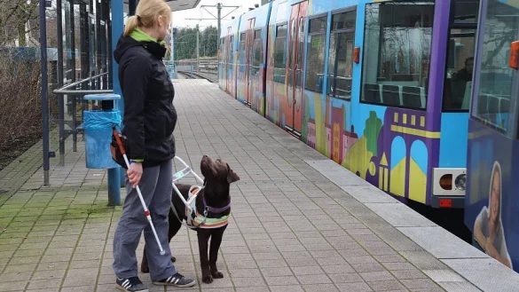 Hund und Mensch arbeiten bei der Ausbildung zum F&uuml;rhund zusammen. - &copy; Archiv: Lieselotte Hasselhoff