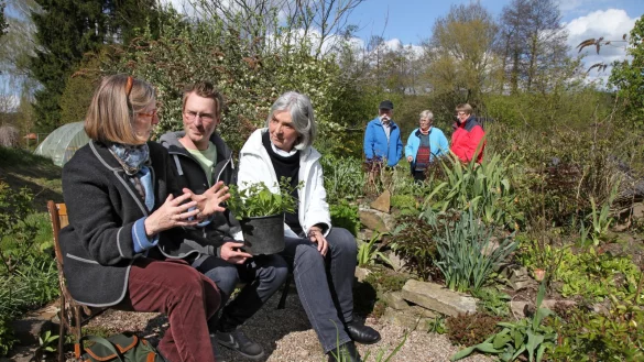 Marie-Luise Asemissen (links) und Renate Tegtmeyer haben Garten-Hausherr Benjamin Schich auf der Bank in die Mitte genommen. Im Hintergrund betrachten Willi Garnjost, Elvi Oerder und Manuela Schich die langsam in Fahrt kommenden Beete. - © Foto: Preuss