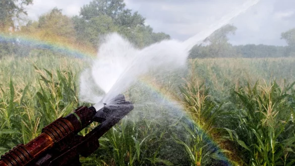 Nationale Wasserstrategie - &copy; Foto: Julian Stratenschulte/dpa