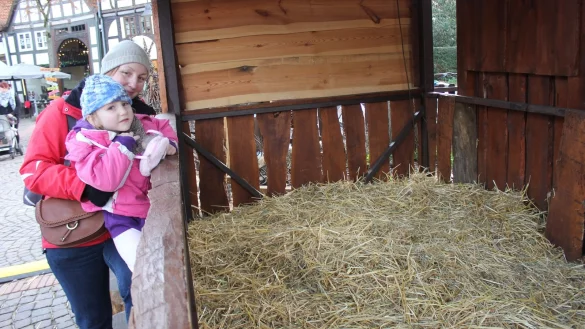 Unbewohnt: Weihnachtsmarkt-Besucher Luise (5) und ihre Mutter Afra Sch&ouml;nfeld vermissen die Tiere in der Krippe. - &copy; Susanne Grimm