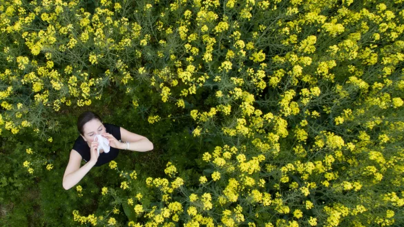 - &copy; Friso Gentsch/dpa