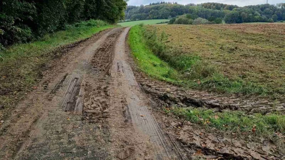 Der Kreuzbuschweg ist so stark verdreckt mit dem Fahrrad nur noch sehr schlecht befahrbar. Dabei ist er eine ausgeschilderte Route des Radnetzes NRW. - &copy; Fotorechte: LZ