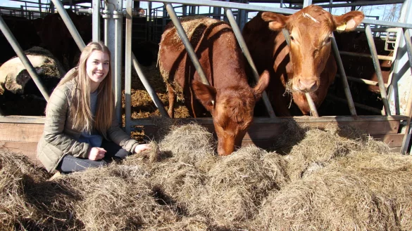 Die Junglandwirtin Leonie Frob&ouml;se hat den Angus-Rindern "Lotti" und "Louise" gerade frisches Futter gegeben. - &copy; Kirsten Fuhrmann