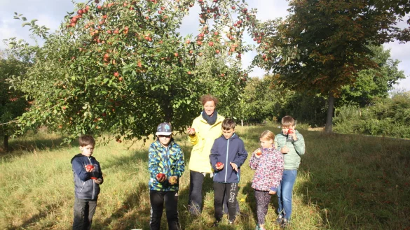 Auf der Streuobstwiese. - © Ralf Mühlenmeier