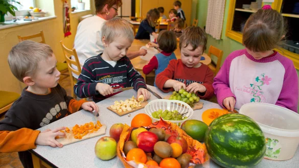 In Frankfurt er&ouml;ffnet im August die erste vegane Kita. Neben veganer Ern&auml;hrung legt die Elterninitiative Wert auf Regionalit&auml;t und Saisonalit&auml;t. - &copy; Symbolbild: picture alliance / ZB
