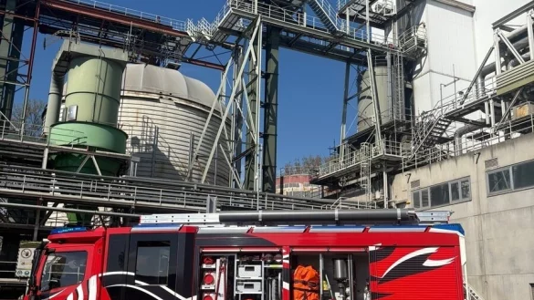 Die Freiwillige Feuerwehr musste zu einem Brand in einem holzverarbeitenden Betrieb ausrücken. - © Freiwillige Feuerwehr Horn-Bad Meinberg