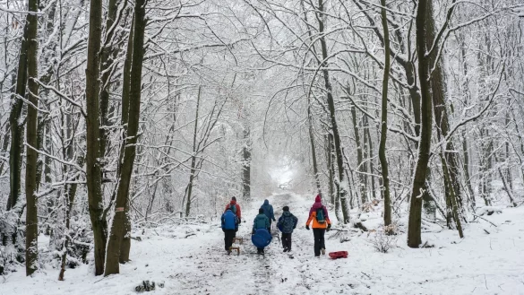 Winter im Taunus - &copy; Foto: Frank Rumpenhorst/dpa