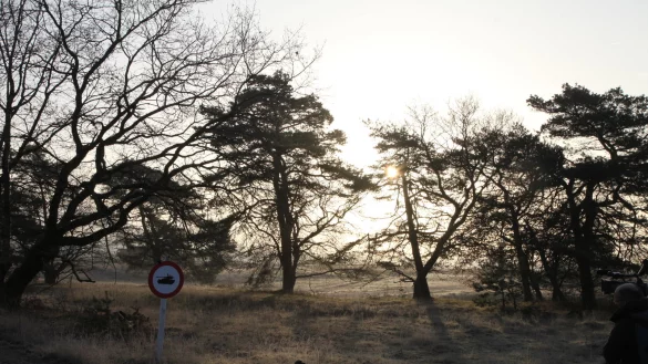 Auf dem Truppen&uuml;bungsplatz in der Senne - &copy; Vera Gerstendorf-Welle