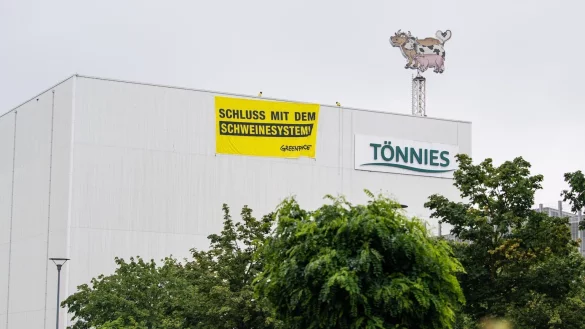 Schlachtbetrieb bei T&ouml;nnies - &copy; Foto: Guido Kirchner/dpa